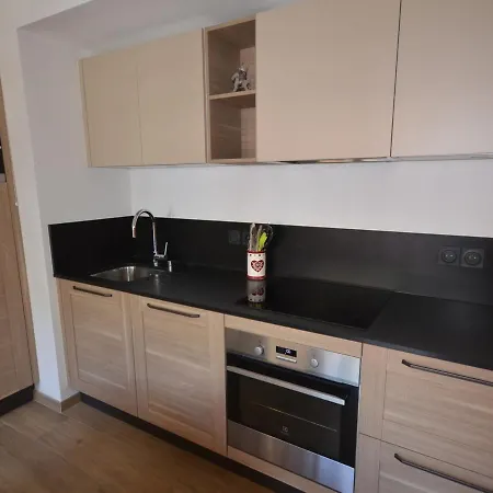 Duplex De Standing Au Centre - 4 Couchages, Balcon, Garage Prive, Wifi - Fr-1-623-204 Apartment *